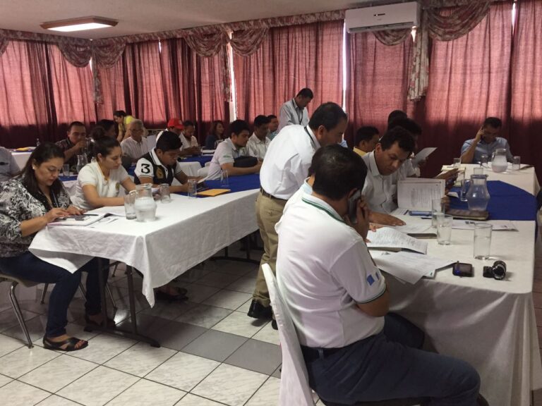 Supervisión de Proyectos